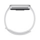 Opaska sportowa Smart Band 10 Glacier Silver 