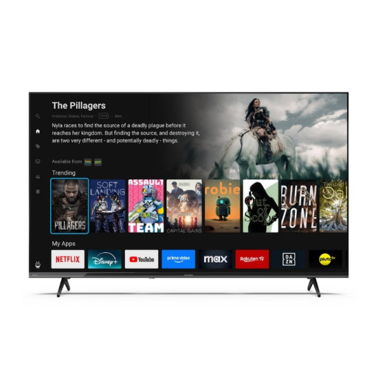 Telewizor LED 43 cale 43HE2445E 