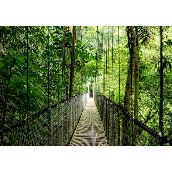 Komputer ProDesk 4 Tower G1i Desktop AI PC U5-225 512/16/W11P      9H7U6ET 