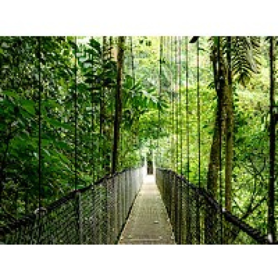 ProDesk 4 Tower G1i Desktop AI PC U7-265 1TB/16/W11P      9H7U8ET 