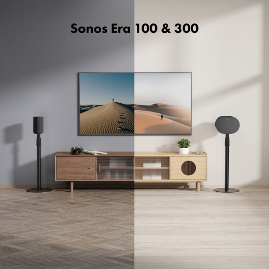 Uchwyt na Sonos ERA 100 X 300 MC-496 
