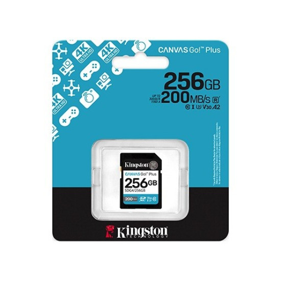 Karta pamięci SD 256GB Canvas Go Plus 200/160 MB/s C10 U3 V30