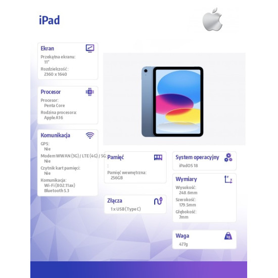 iPad WiFi 11 cali 256GB Niebieski