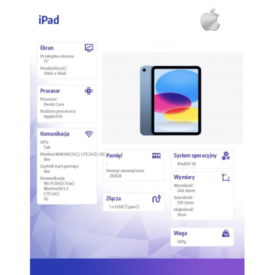 iPad WiFi + Cellular 11 cali 256 GB Niebieski
