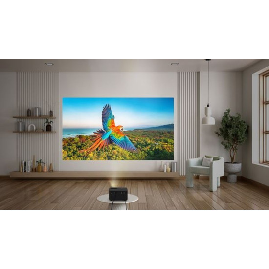 Projektor PK31 E3PB011E111 