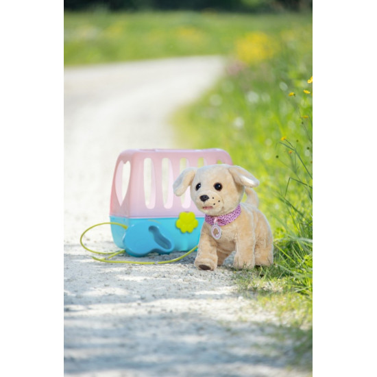 Interaktywny piesek Labrador Lucky na smyczy Baby Born