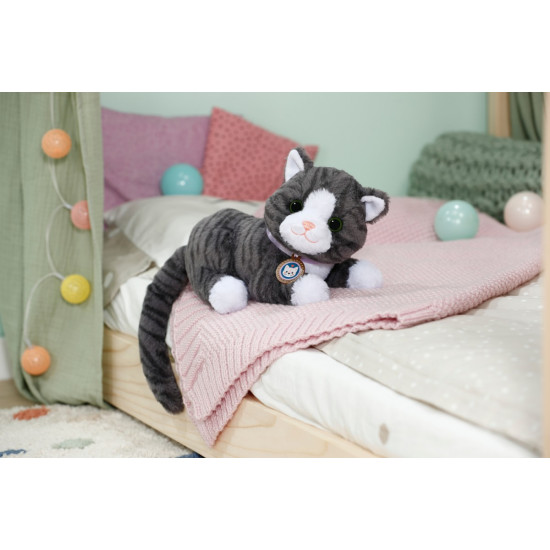 Maskotka interaktywna Baby Born Mój Kot Cookie z pudełkiem 