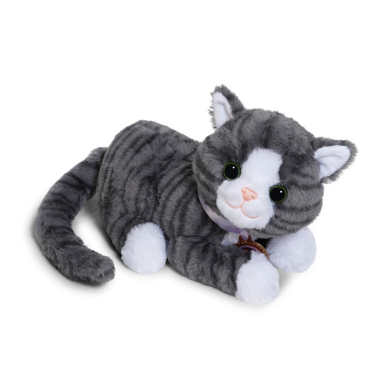 Maskotka interaktywna Baby Born Mój Kot Cookie z pudełkiem 