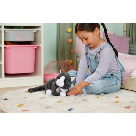 Maskotka interaktywna Baby Born Mój Kot Cookie z pudełkiem 