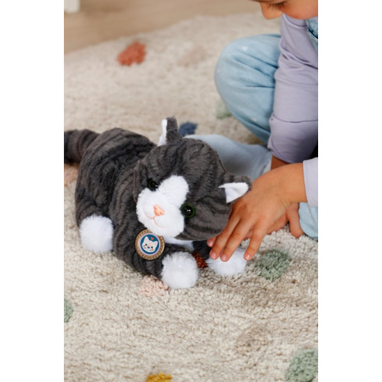 Maskotka interaktywna Baby Born Mój Kot Cookie z pudełkiem 