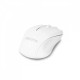 Mysz Wireless Mouse Comfort Biała 