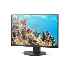 Monitor MultiSync DD-EA242W 24.1 cala  czarny
