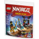 Klocki Ninjago 30700 Bitwa Arina z Dragonem