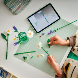 Klocki Botanicals 11508 Stokrotki