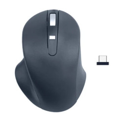 Mysz bezprzewodowa - Wireless USB-C Pro Mouse Black 
