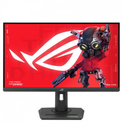 Monitor 27 cali XG27ACMEG ROG IPS QHD HDMI USB DP