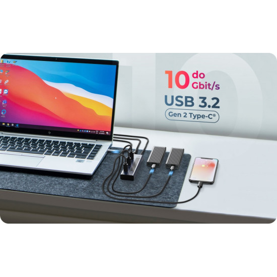 HUB IB-HUB1450-C31 10 x USB TYPE-C Gen 2 z zasilaczem 