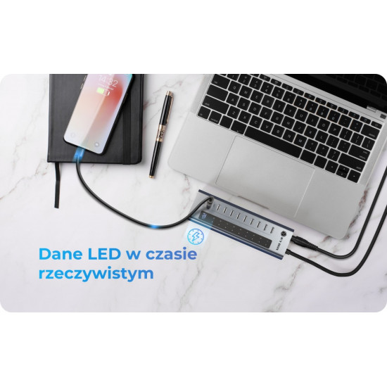 HUB IB-HUB1450-C31 10 x USB TYPE-C Gen 2 z zasilaczem 