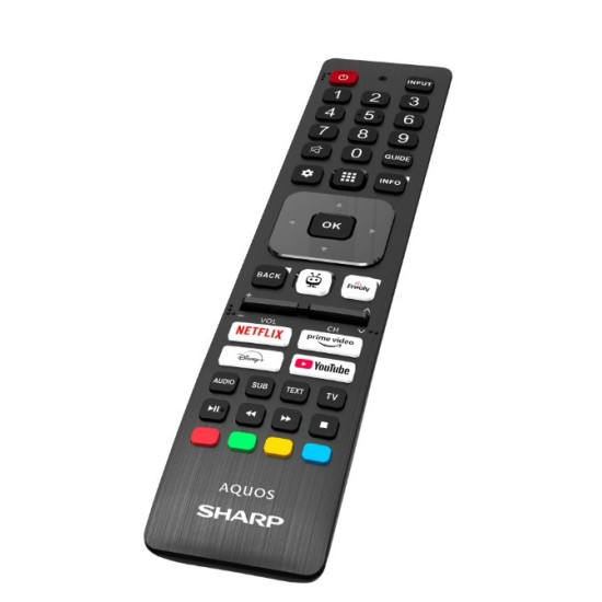 Telewizor LED 55 cali 55GK4245E 