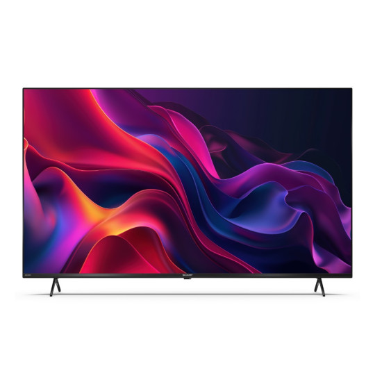 Telewizor LED 55 cali 55GK4245E 