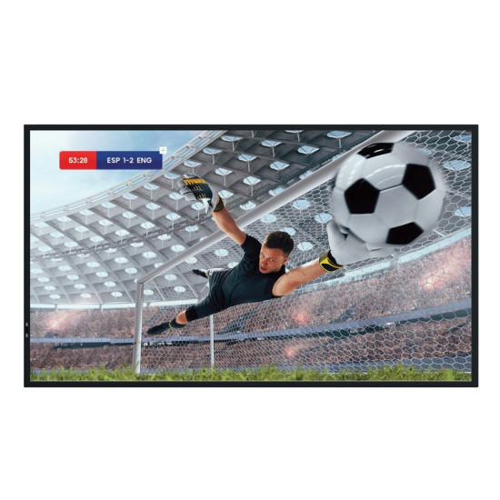 Monitor 55DM66D 55 cali 4K UHD IPS Digital Signage Display 24/7 
